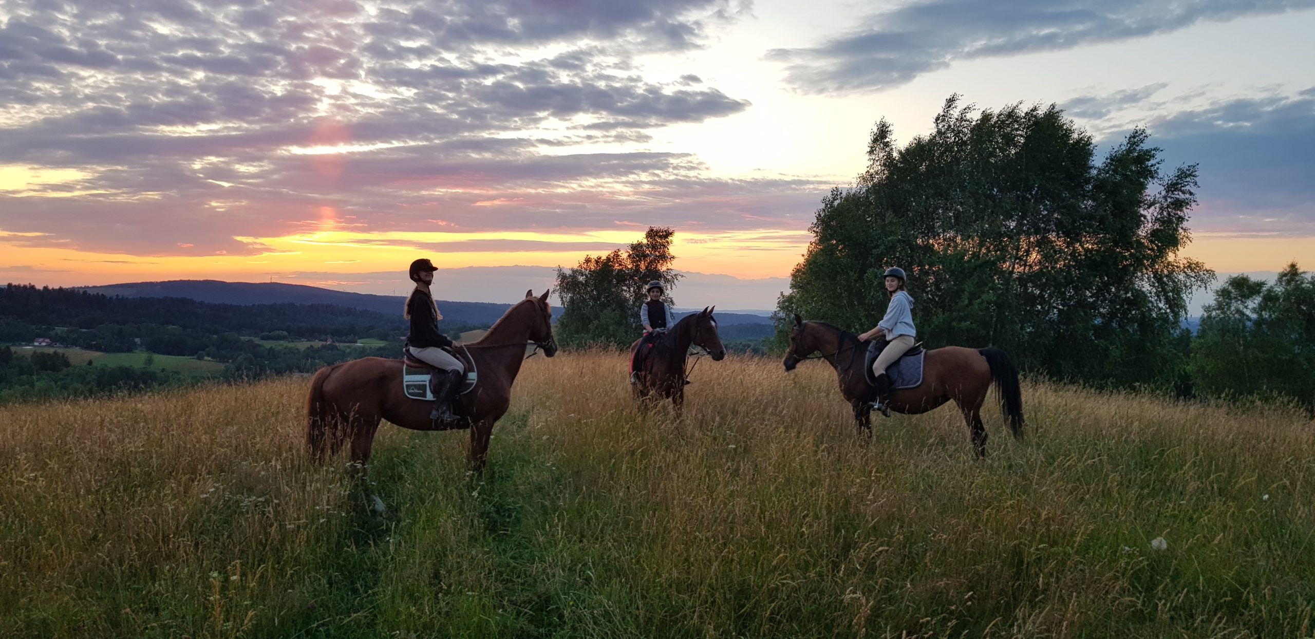 Obozy jeździeckie Bieszczady