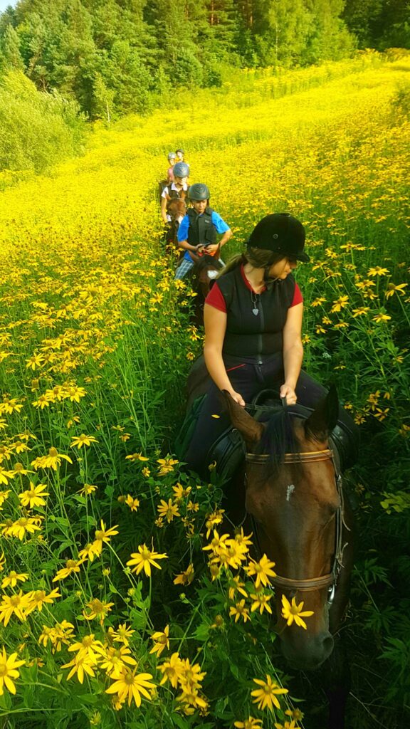 zdjecie teren kwiatki