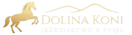 Jazda konna Bieszczady