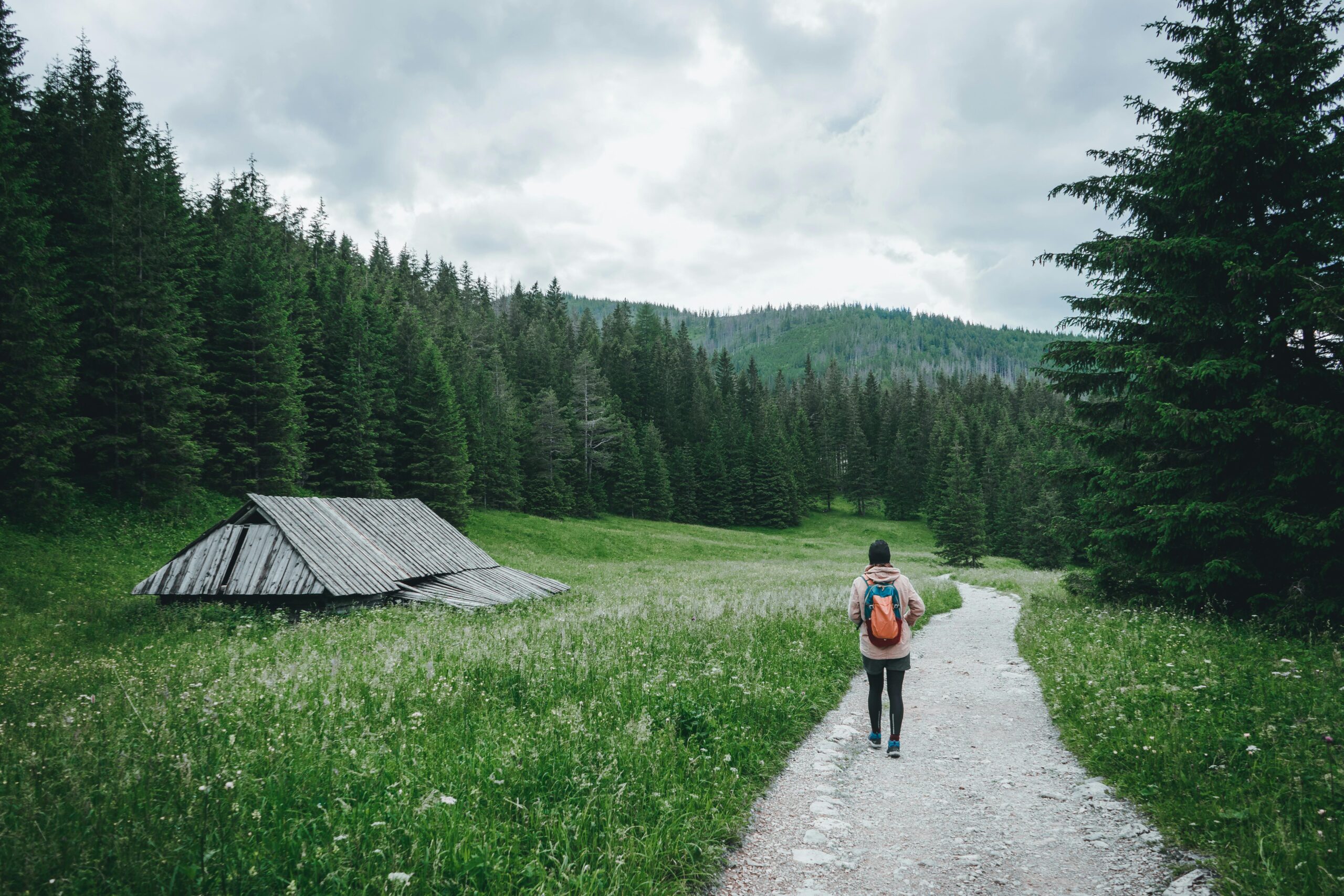 pexels-photo-4900344-4900344 Woman hiking on a serene mountain trail in the Tatra Mountains of Poland. Perfect for adventure seekers.